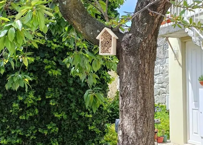 House / Casa * Oporto