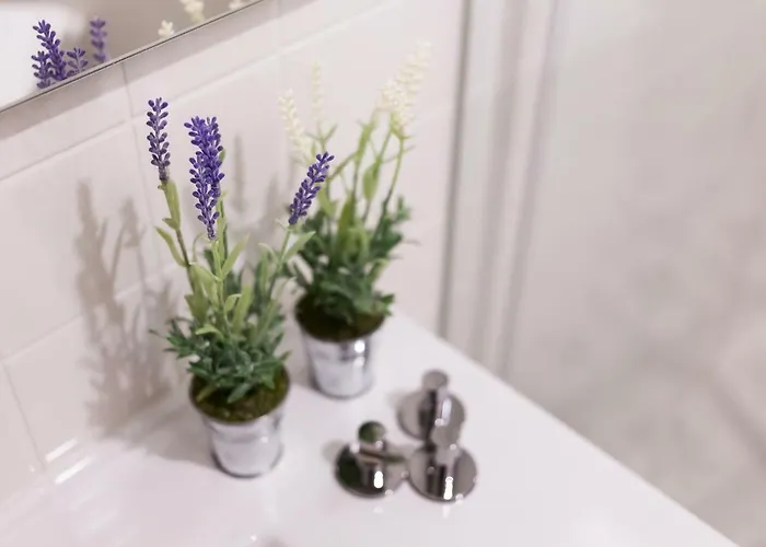 House / Casa Apartamento