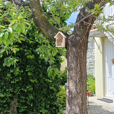 House / Casa * Porto