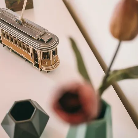 House / Casa 아파트