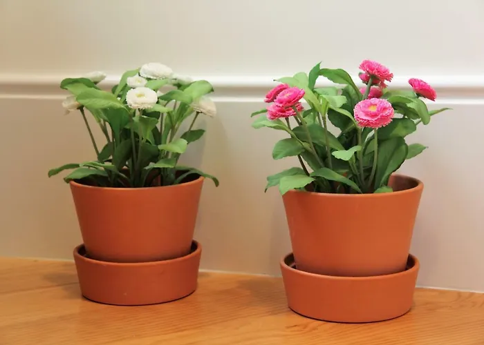 House / Casa * Porto