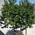 House / Casa Porto