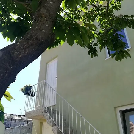 House / Casa *