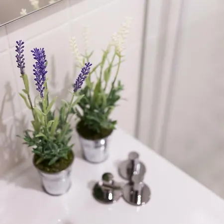 House / Casa Appartement